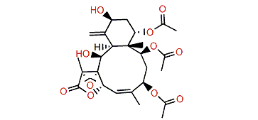 Briarenol D